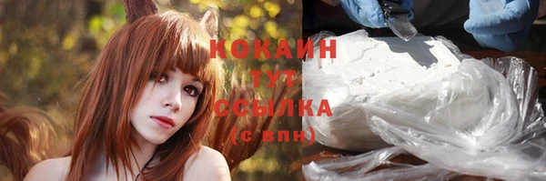 ешки Бородино