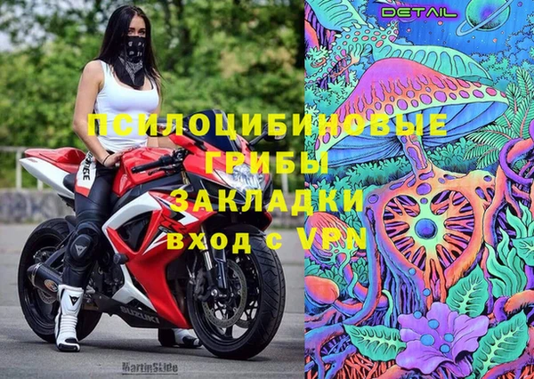 ПСИЛОЦИБИНОВЫЕ ГРИБЫ Бугульма
