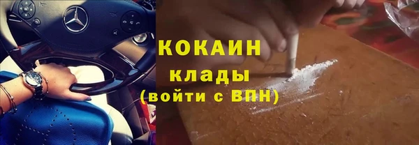 ешки Бородино