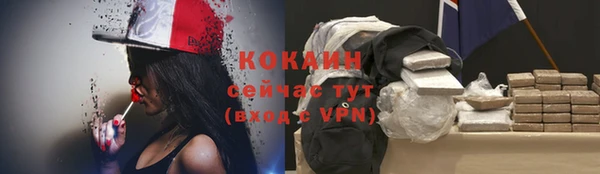 ешки Бородино