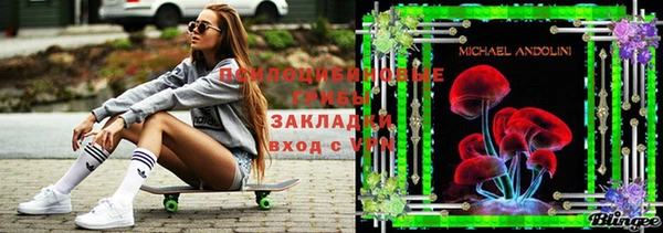 герыч Бронницы