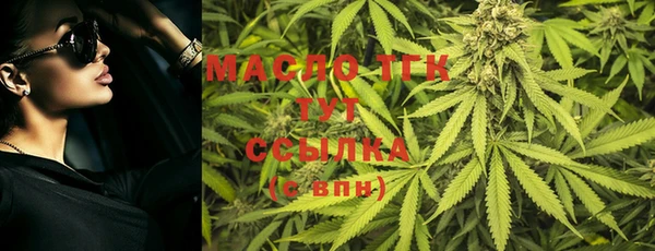 ешки Бородино