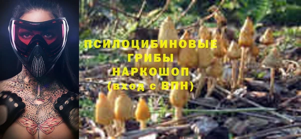 ПСИЛОЦИБИНОВЫЕ ГРИБЫ Бугульма