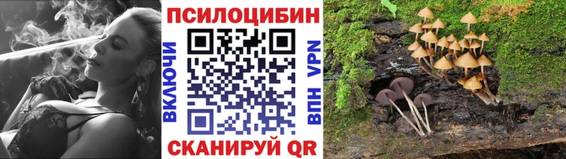 хочу наркоту  Димитровград  Галлюциногенные грибы Psilocybine cubensis 